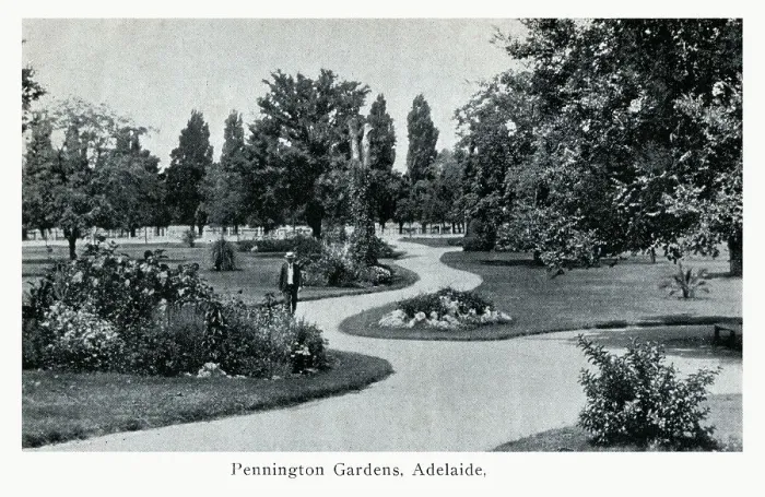 Framed Print : Adelaide, Australia - Pennington Gardens Framed Print : Adelaide, Australia - Pennington Gardens