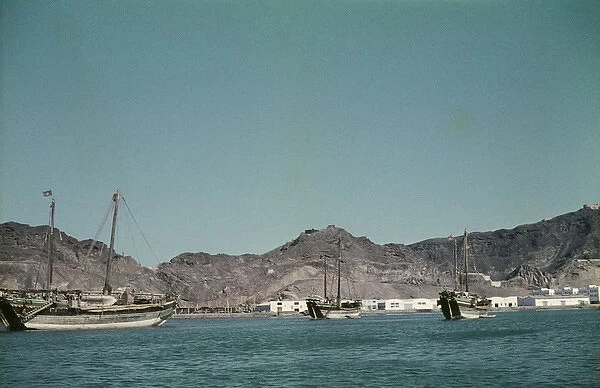 Aden The Dhows