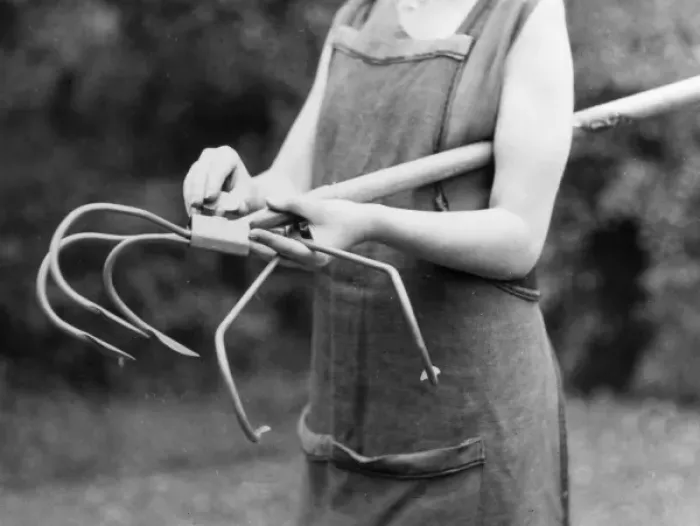 Framed Print : Adjustable Garden Hoe Framed Print : Adjustable Garden Hoe