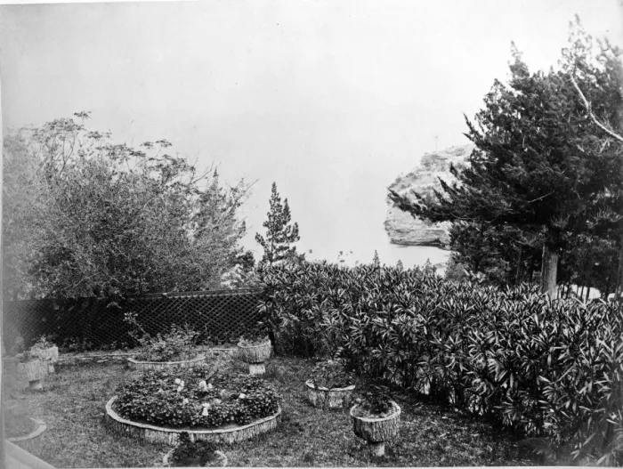 Framed Print : The Admirals Garden, Clarence Cove, Bermuda 1873 Framed Print : The Admirals Garden, Clarence Cove, Bermuda 1873