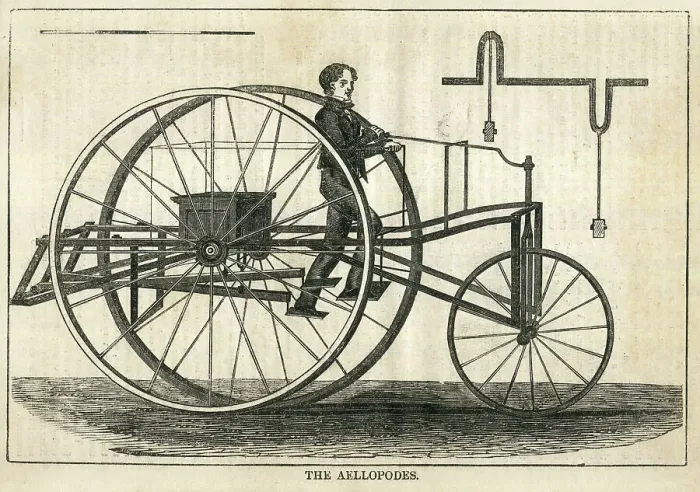 Framed Print : The Aellopodes Velocipede