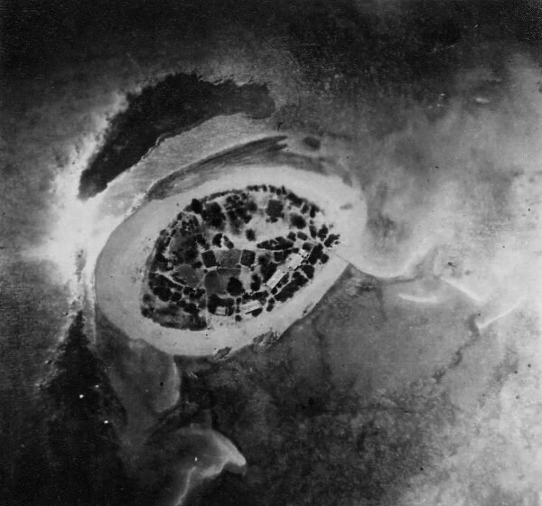Aerial shot of Low Isles