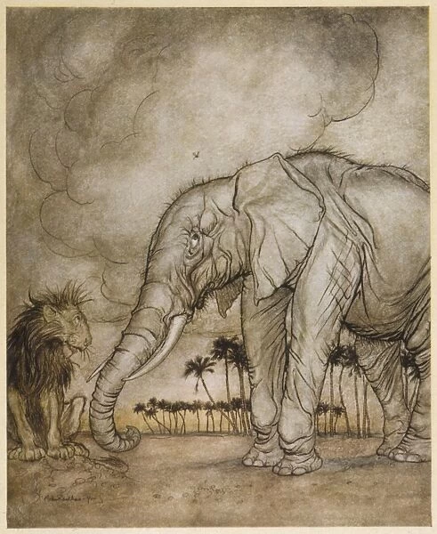 Aesop  /  Lion and Elephant