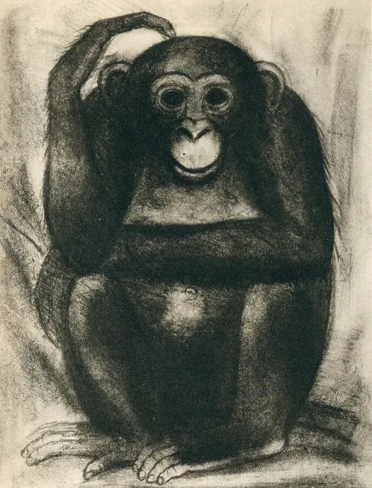 Framed Print : Aesop's Fables Chimp Framed Print : Aesop's Fables Chimp