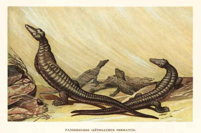 Framed Print : Aetosaurus ferratus, extinct archosaur reptile Framed Print : Aetosaurus ferratus, extinct archosaur reptile