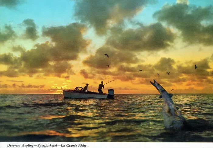 Framed Print : Africa - Deep-sea Angling off the coast Framed Print : Africa - Deep-sea Angling off the coast