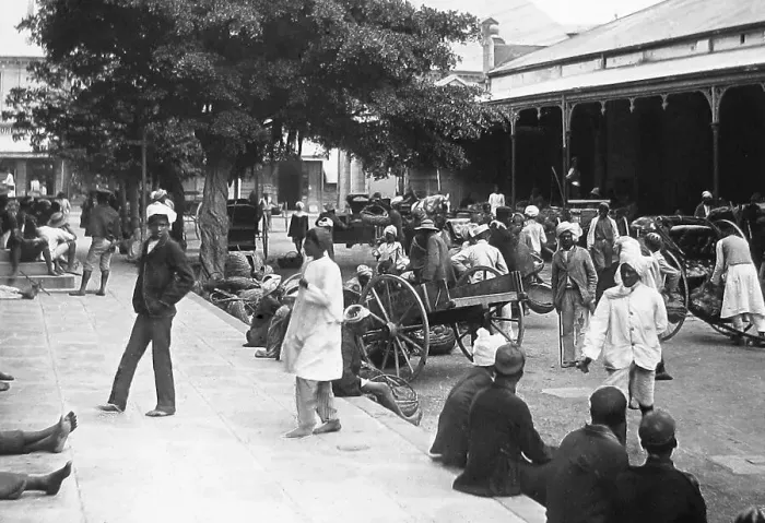Framed Print : Africa Durban Fruit Market pre-1900 Framed Print : Africa Durban Fruit Market pre-1900