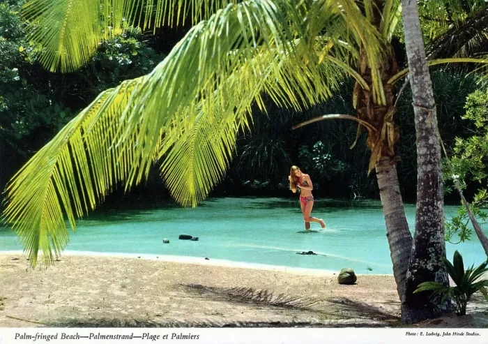 Framed Print : Africa - European Bather on a Palm-fringed African beach Framed Print : Africa - European Bather on a Palm-fringed African beach