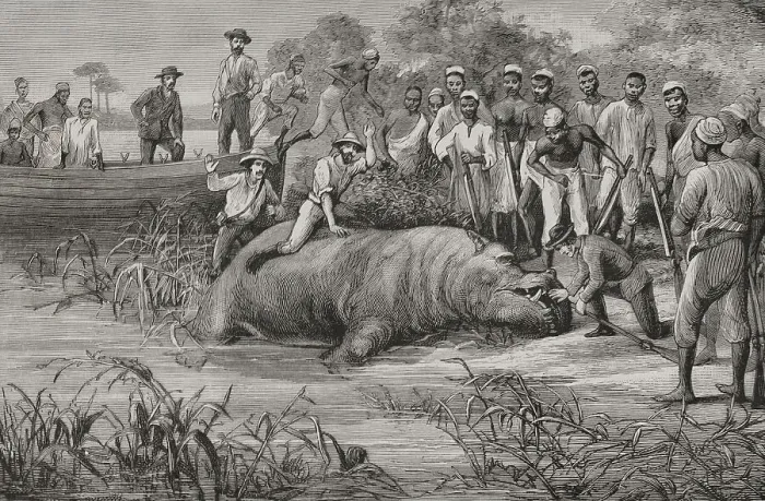Framed Print : Africa. European exploration of the Congo? Framed Print : Africa. European exploration of the Congo?