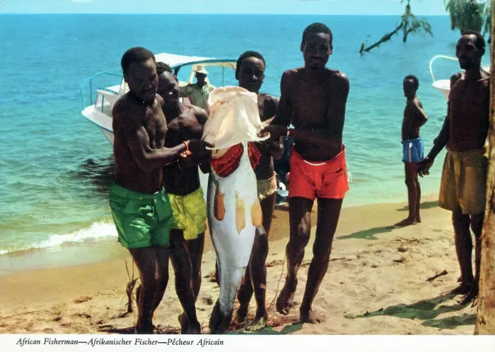 Framed Print : Africa - Fisherman bring a large fish ashore