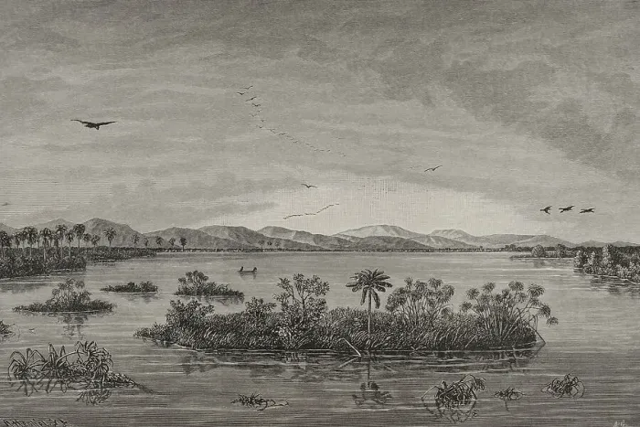 Framed Print : Africa. Floating islands in the Upper Congo Framed Print : Africa. Floating islands in the Upper Congo