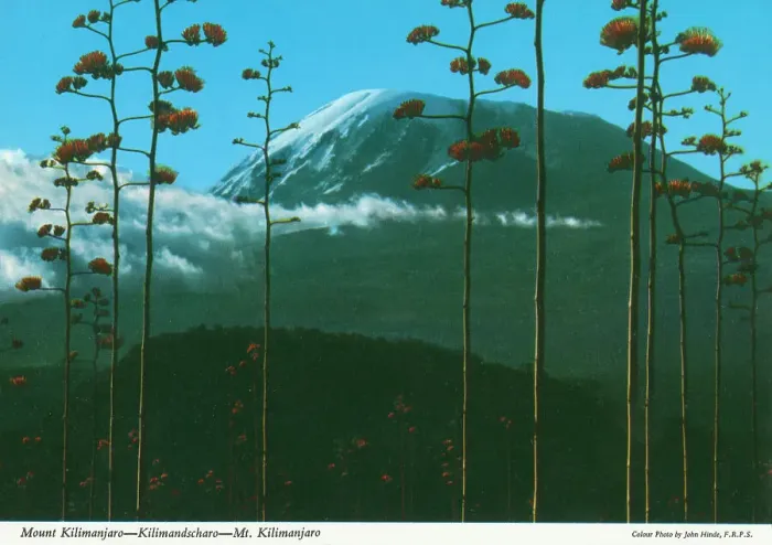 Framed Print : Africa - Mount Kilimanjaro, Tanzania Framed Print : Africa - Mount Kilimanjaro, Tanzania