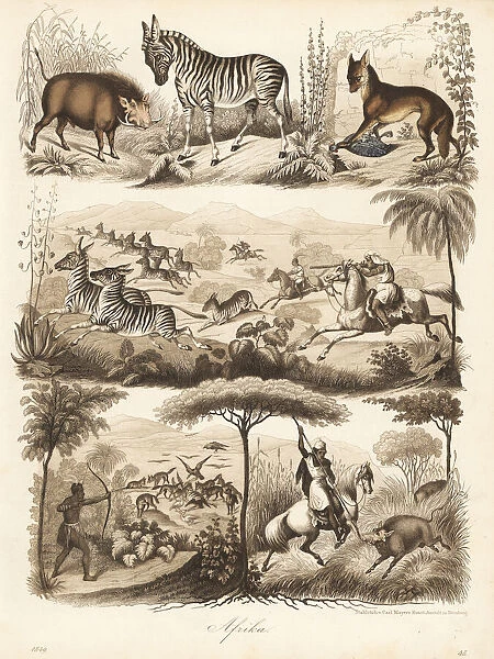 Africans hunting warthog, zebra and jackal