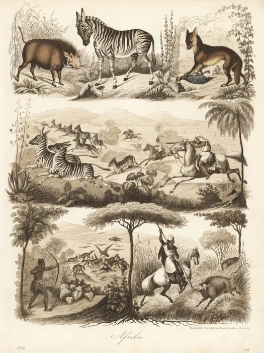 Framed Print : Africans hunting warthog, zebra and jackal Framed Print : Africans hunting warthog, zebra and jackal