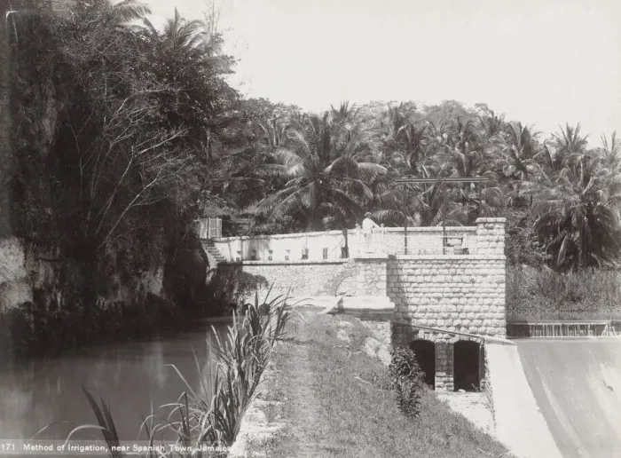 Framed Print : Agriculture, irrigation, Spanish town Jamaica Framed Print : Agriculture, irrigation, Spanish town Jamaica