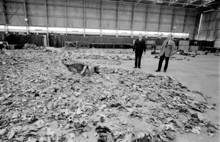 Framed Print : Air crash investigators with sniffer dog Framed Print : Air crash investigators with sniffer dog