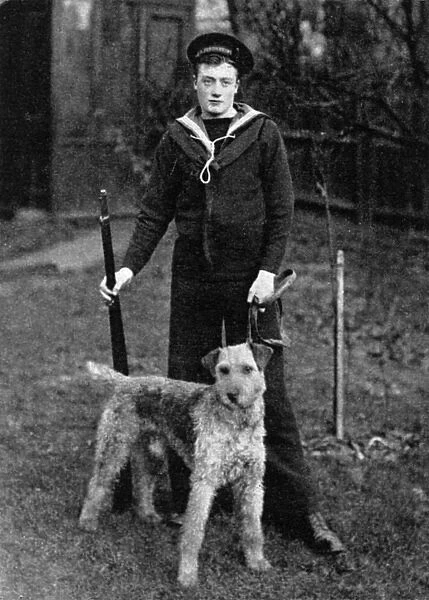 An Airedale sentry dog supplied to Navy by Major Richardson