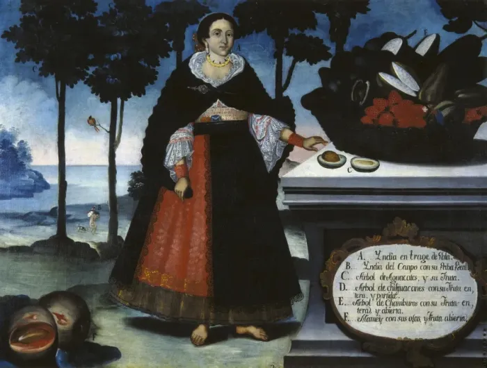 Framed Print : ALBAN, Vicente (18th c. ). Indian Woman in Fine Framed Print : ALBAN, Vicente (18th c. ). Indian Woman in Fine