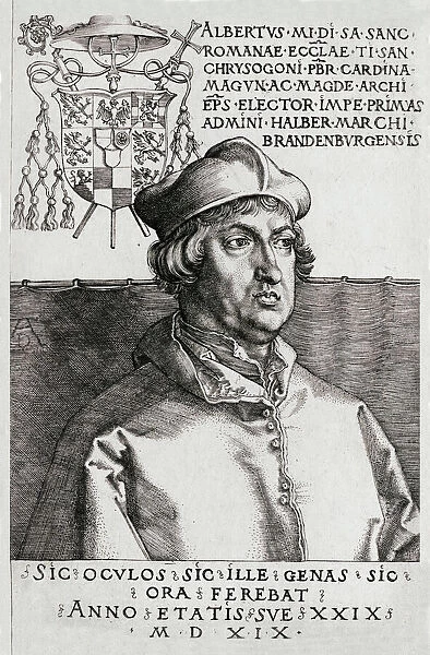 Albertus Magnus (Durer)