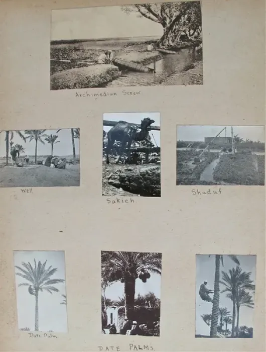 Framed Print : Album - Assorted photos and postcards of Egypt & Palestine Framed Print : Album - Assorted photos and postcards of Egypt & Palestine
