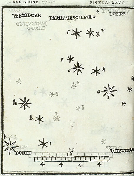 Alessandro Piccolomini (1508-1578). Leo constellation