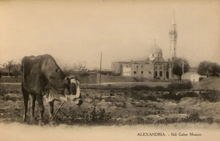 Framed Print : Alexandria, Egypt - Sidi Gaber Mosque Framed Print : Alexandria, Egypt - Sidi Gaber Mosque