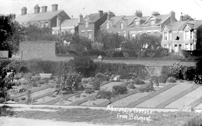 Framed Print : Alexanrda Terrace from Belmont, Exeter, Devon Framed Print : Alexanrda Terrace from Belmont, Exeter, Devon