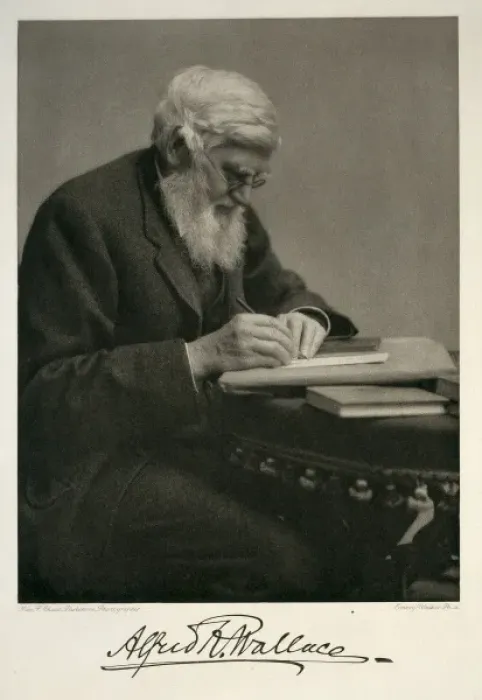 Framed Print : Alfred Russel Wallace (1823-1913) Framed Print : Alfred Russel Wallace (1823-1913)