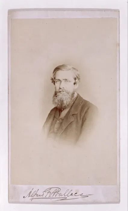 Framed Print : Alfred Russel Wallace (1823-1913) Framed Print : Alfred Russel Wallace (1823-1913)