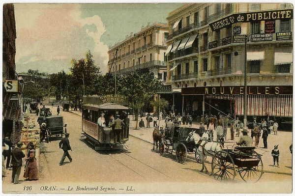 Algeria. Oran: Boulevard Seguin Date: circa 1905