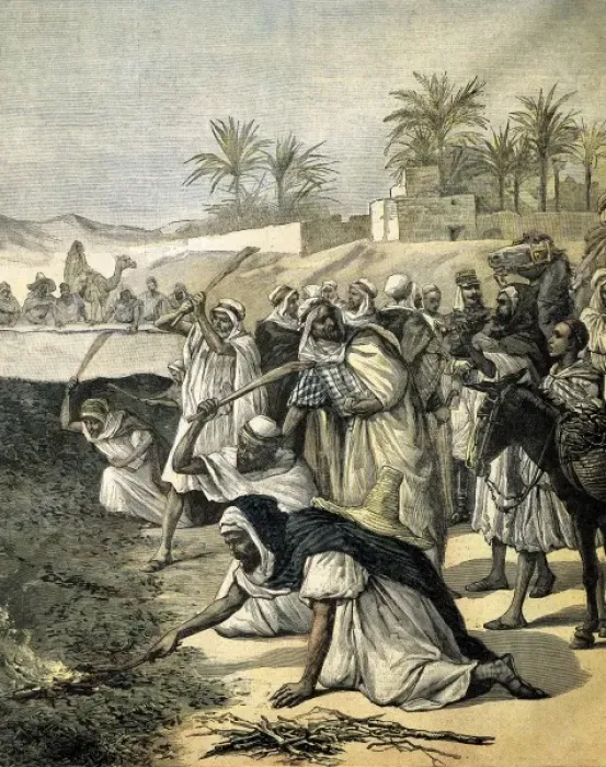 Framed Print : Algeria (1891). Algerians fighting the locust Framed Print : Algeria (1891). Algerians fighting the locust