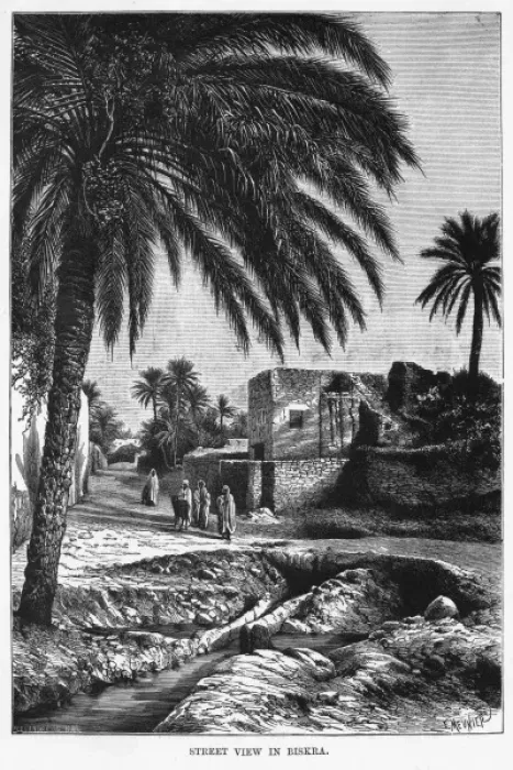 Framed Print : Algeria Biskra Framed Print : Algeria Biskra
