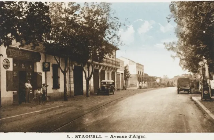 Framed Print : Algeria - Staoueli - Avenue d Alger Framed Print : Algeria - Staoueli - Avenue d Alger