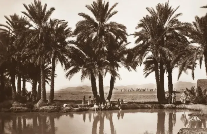 Framed Print : Algerian Oasis - Biskra Framed Print : Algerian Oasis - Biskra