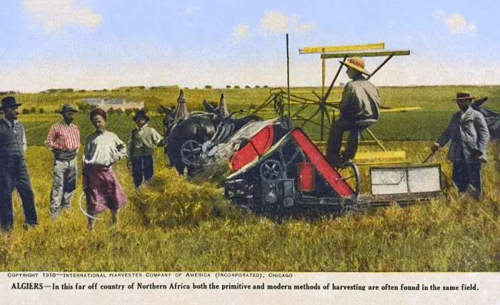 Framed Print : Algiers, Algeria - Harvesting by Mechanical & handheld means Framed Print : Algiers, Algeria - Harvesting by Mechanical & handheld means