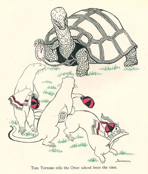 Framed Print : Alican Land, Tom Tortoise Framed Print : Alican Land, Tom Tortoise