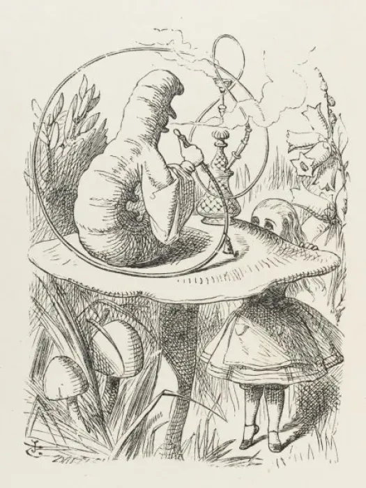 Framed Print : Alice & the Caterpillar