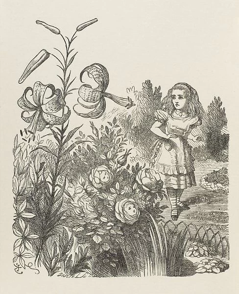 Alice & the Flowers