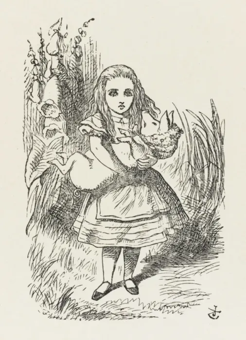 Framed Print : Alice / The Pig-Baby Framed Print : Alice / The Pig-Baby
