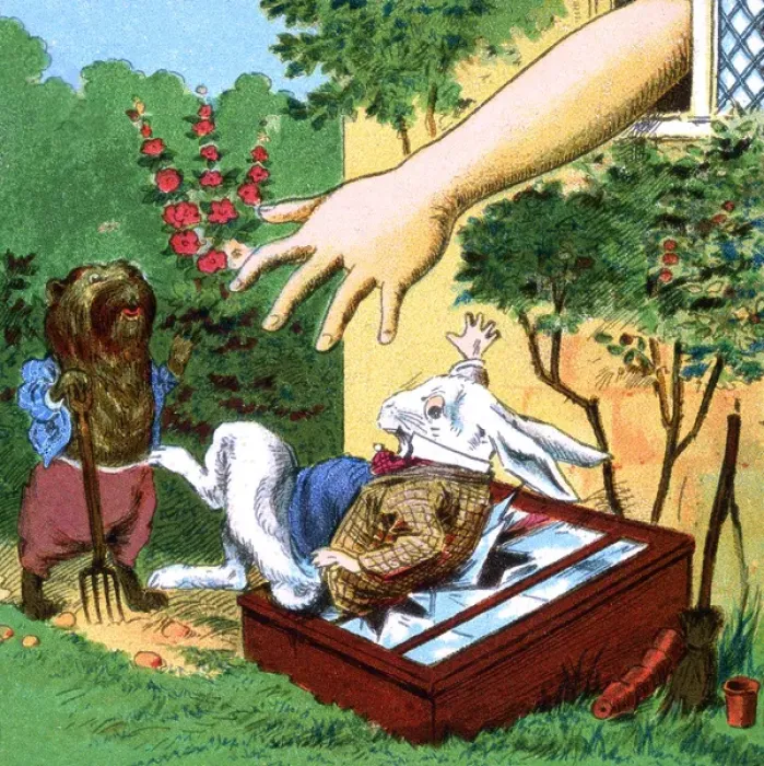 Framed Print : Alice in Wonderland, Alice and the White Rabbit Framed Print : Alice in Wonderland, Alice and the White Rabbit