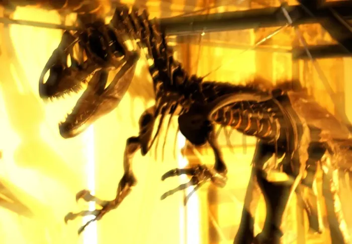 Framed Print : Allosaurus Framed Print : Allosaurus