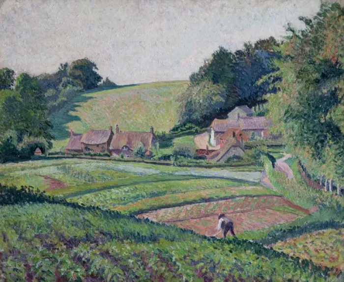 Framed Print : The Allotments Framed Print : The Allotments