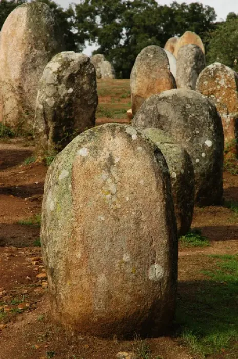 Framed Print : Almendres Cromlech. Megalithic complex. Neolithic. Near Evor Framed Print : Almendres Cromlech. Megalithic complex. Neolithic. Near Evor