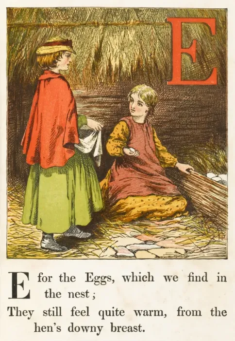 Framed Print : Alphabet / E for Eggs Framed Print : Alphabet / E for Eggs