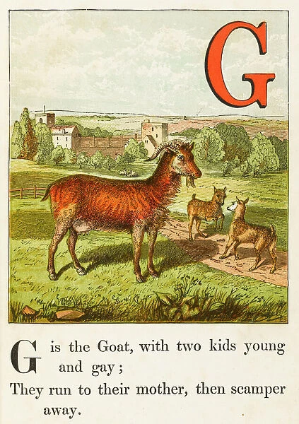 Alphabet  /  G for the Goat