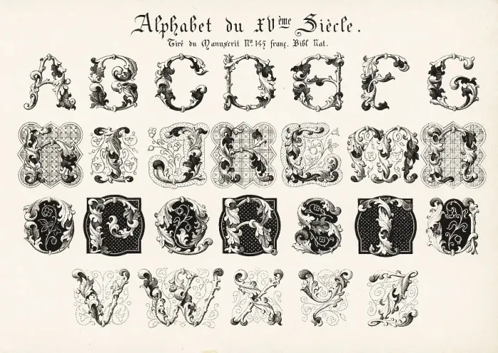Framed Print : Alphabet of initial letters in foliage from a French manuscript Framed Print : Alphabet of initial letters in foliage from a French manuscript