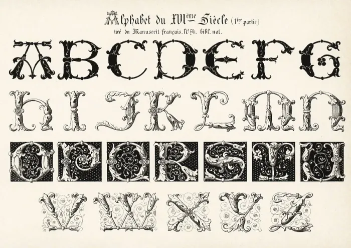 Framed Print : Alphabet of initial letters from a French manuscript, 16th centu Framed Print : Alphabet of initial letters from a French manuscript, 16th centu
