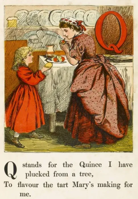 Framed Print : Alphabet / Q for Quince Framed Print : Alphabet / Q for Quince