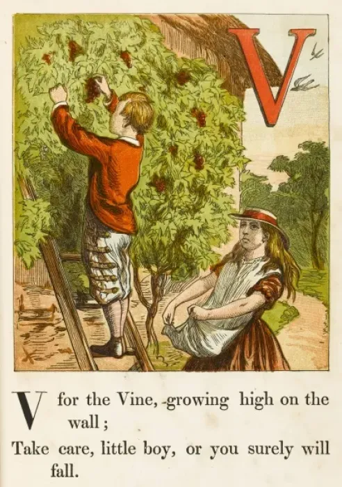 Framed Print : Alphabet / V for Vine Framed Print : Alphabet / V for Vine