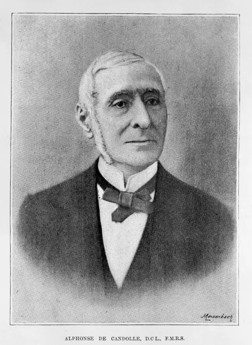 Framed Print : Alphonse de Candolle (1806-1893) Framed Print : Alphonse de Candolle (1806-1893)